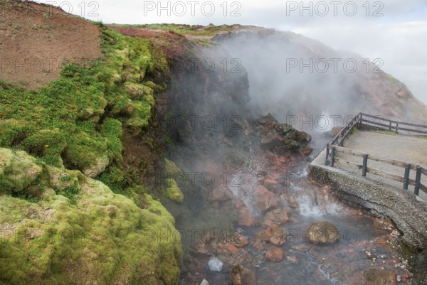 Hot spring, Hot spring, Deildartunguhver, near Reykholt, Iceland, Europe