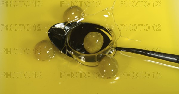 Green Olive, Olea europaea, Falling in a Spoon
