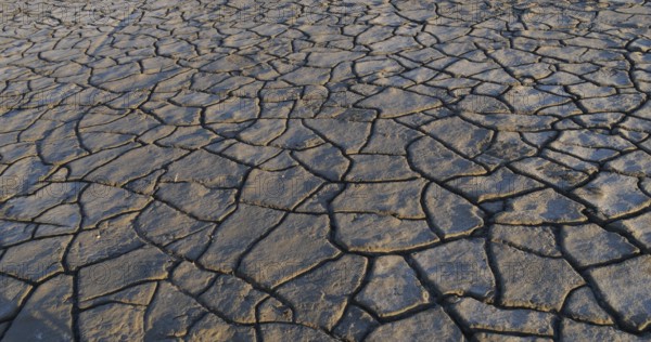 Drought in the Marshes of Camargue, Les Saintes Maries de la Mer, in the South East of France
