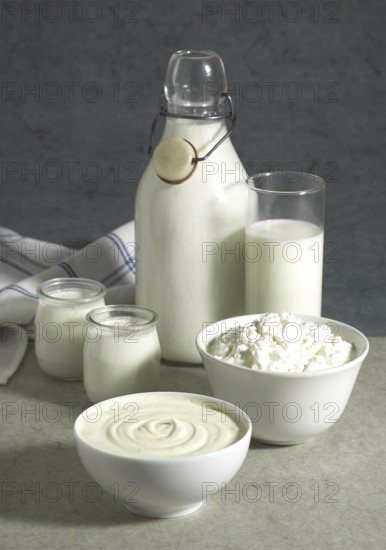 Dairy Products, Cream, Milk, Soft cheese, Yogurt