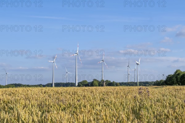 Wind turbines in the Münsterland