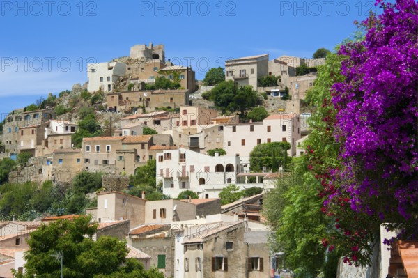 Corbara, Corsica, France, Europe