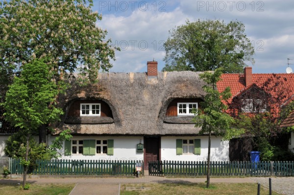 Thatched house, Caputh, Brandenburg, Germany, thatched roof, thatched roof, Europe