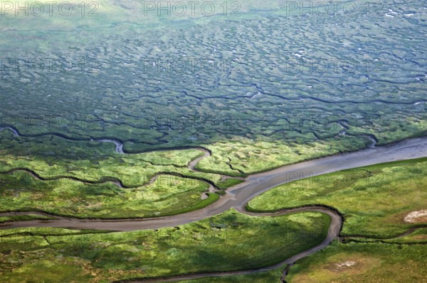 Salt marshes, marshland, between Hitzsand and dyke, St. Peter-Ording, Eiderstedt,
