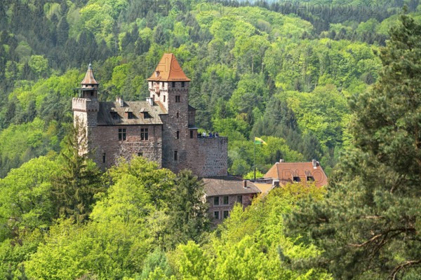 Berwartstein Castle in Spring, Erlenbach, Palatinate Forest nature park, Palatinate,