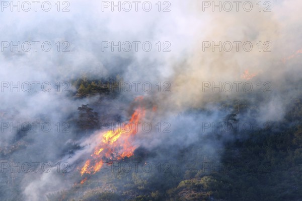 Forest fire on Mt Hochmahdkopf, Tyrol, Austria, Europe