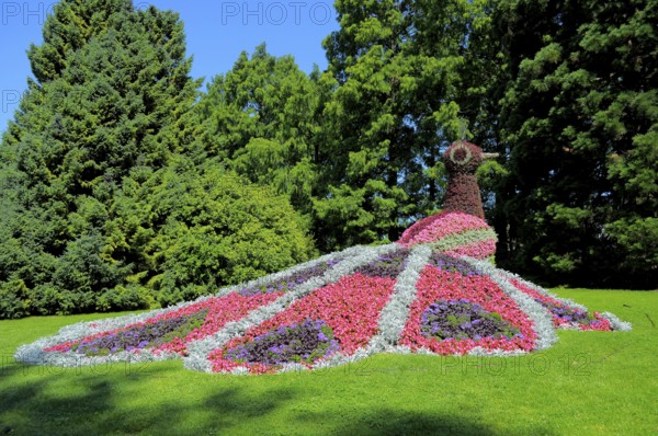 Lake Constance Island Mainau, animal figures made of flowers, peacock figure