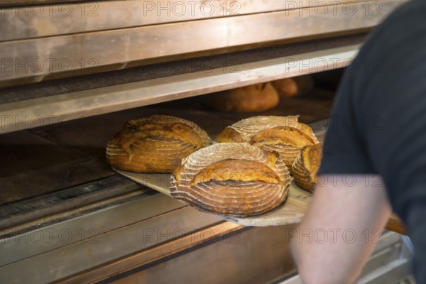 Male employee baker of bakery in workshop workshop of artisan bakery removing baked bread from oven