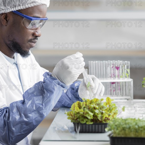Side view male researcher biotechnology laboratory with plant
