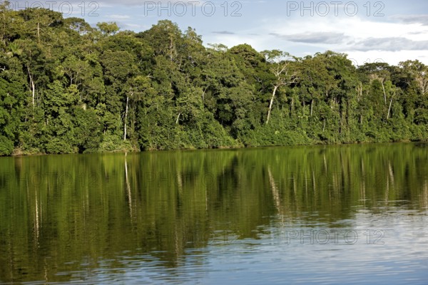 Rainforest and Madre de Dios River, Manu National Park in Peru
