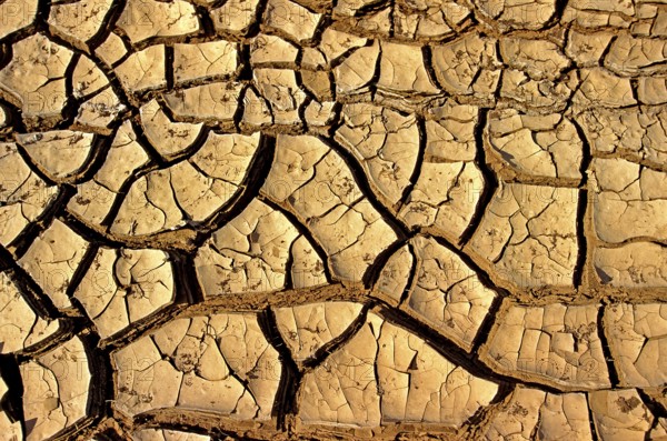 Drought in Desert near Walvis Bay, Namibia, Africa