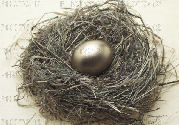 SYMBOLIC IMAGES, THE HEN AND THE GOLDEN EGG