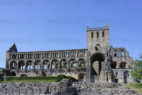 Ruin, Monastery, Jedburgh Abbey, Jedburgh, Scotland, Great Britain