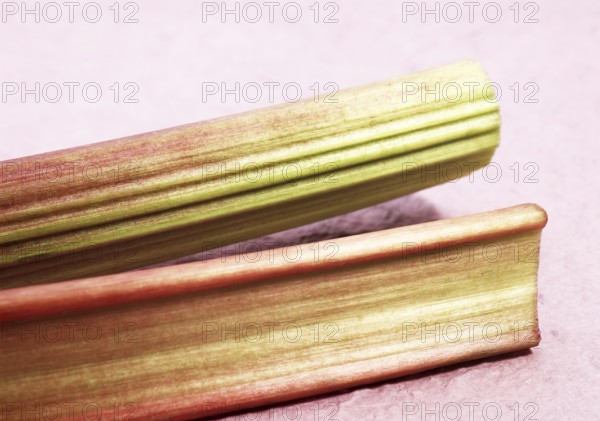 Rhubarb (Rheum rhabarbarum), Vegetable rhubarb, Rhubarb, Knotweed, Rhubarb