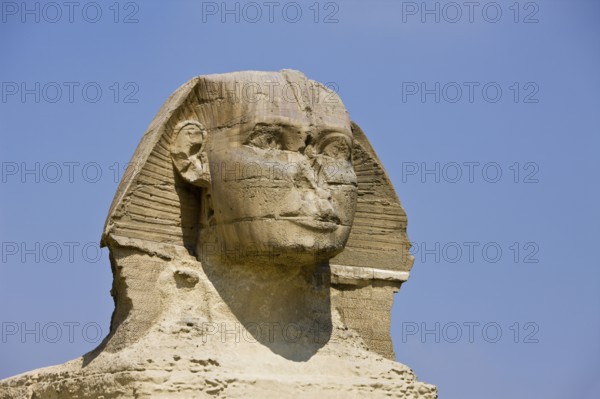 Great Sphinx, Giza, Giza, Egypt, Africa