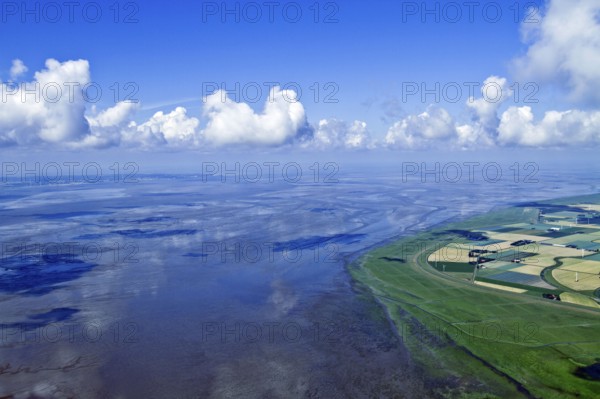 Elbe estuary, North Sea coast, near Neufelderkoog, Dithmarschen, Schleswig-Holstein, Germany,