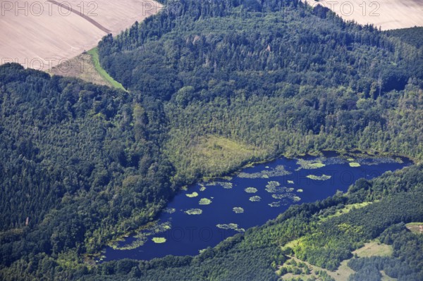 Lake, Schaalsee nature Park, Rosenhagen, Schleswig-Holstein, Germany, Europe