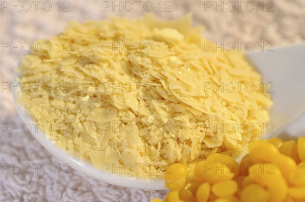 Carnauba wax (Copernicia cerifera), Cera carnauba