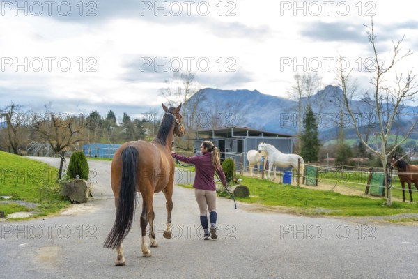Young female horse trainer preparing her horse for riding outside the horse stable
