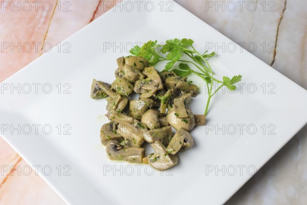 Herb-marinated mushrooms with parsley on a square white plate, typical food, typical mediterranean