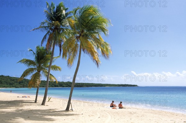 Beach on the island of Vieques, Puerto Rico, Caribbean, North America