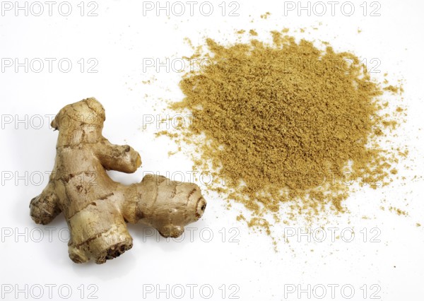 Ginger (zingiber officinale) Powder and Root against White Background