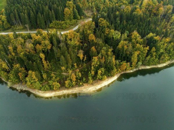 Colourful trees in autumn on the shore, Lac de Gruyère, Lake Gruyère, reservoir, aerial view,