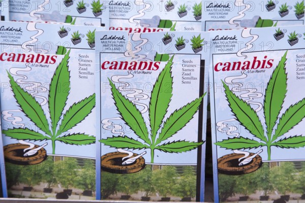 Cannabis seeds in bags at the flower market in Amsterdam, the Netherlands in the spring