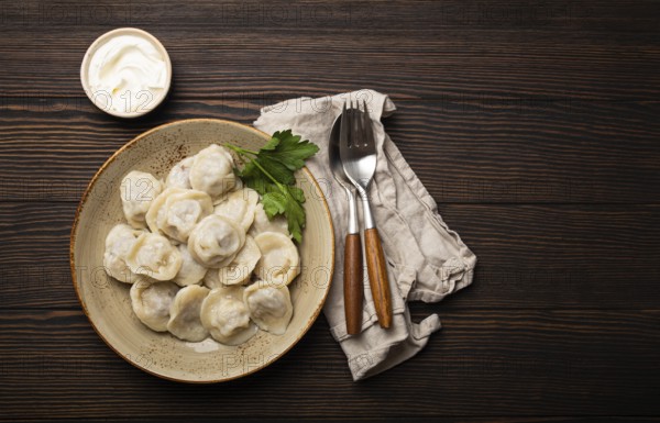 Pelmeni, traditional dish of Russian cuisine, boiled dumplings with minced meat filling on plate