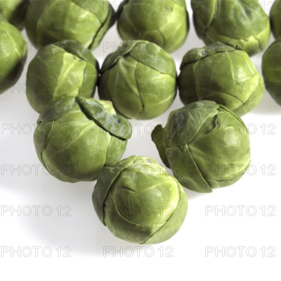 Brussels Sprouts (brassica) oleracea, Vegetables against White Background