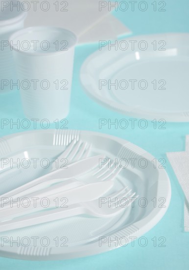PLASTIC PLACE SETTING AND PAPER NAPKIN