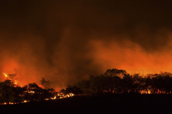 Bushfire, KwaZulu-Natal, South Africa, Fire, Africa