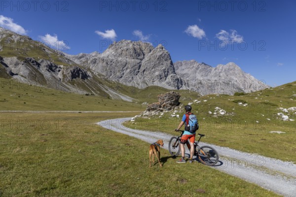 Mountain biker with Vizsla in Val Mora near Döss Radond, behind Piz Murtaröl and Pala Gronda,