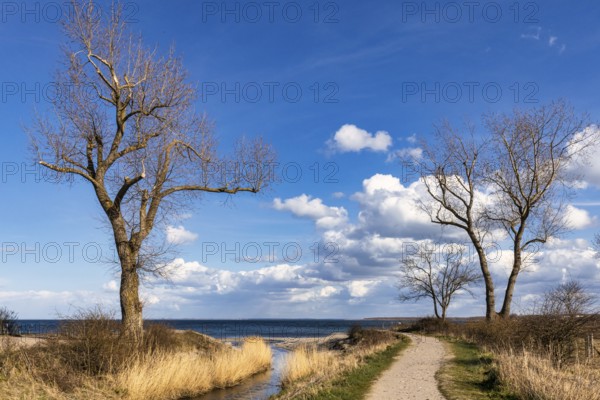 Beach Boltenhagen Baltic Sea