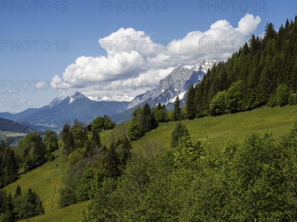 Wooded landscape, view of the Enns Valley, with the Grimming and Dachstein glaciers in the