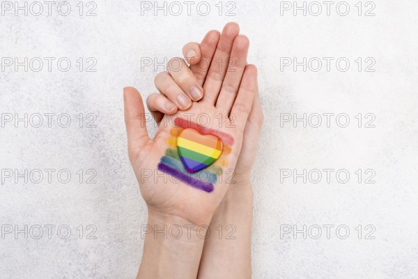 Rainbow flag painted hand