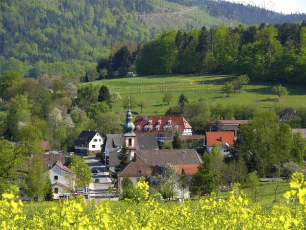 Moosbronn in the N. Black Forest in spring, Marian pilgrimage site, Maria Hilf pilgrimage church