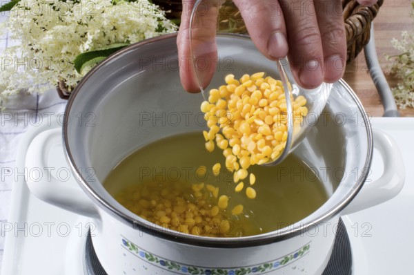 Elder (Sambucus nigra), production of elderberry ointment, adding beeswax, pot, cooking pot, stove,
