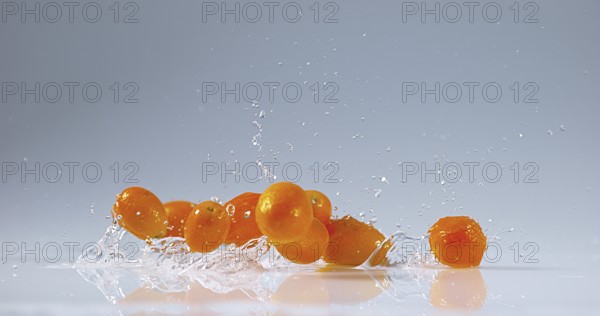 Kumquat (fortunella margarita), Fruits falling on Water