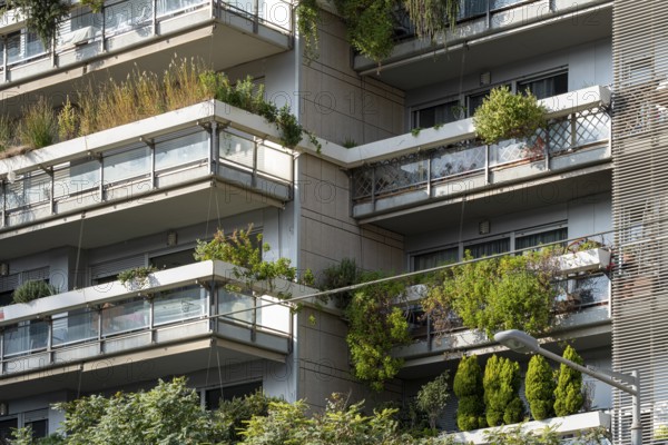 Barcelona's Eco-Friendly Marvel: Multilevel apartment building adorned with lush balconies, a green
