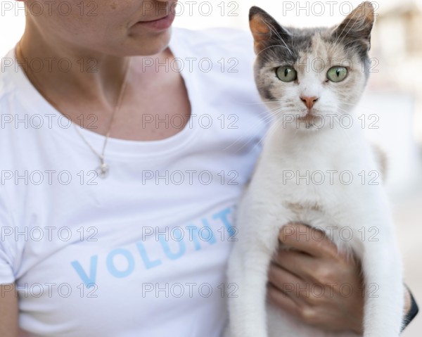 Cute curious cat being held by woman outdoors