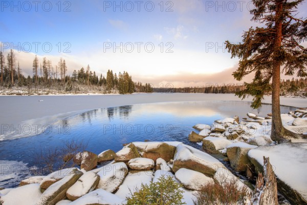 Winter Landscape Harz National Park Oderteich