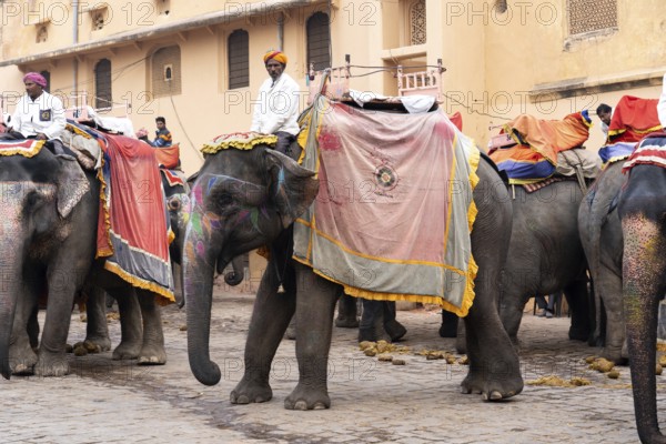 Jaipur, India, December 12, 2019: Decorated elephants waiting for tourists at Amber Fort, Asia
