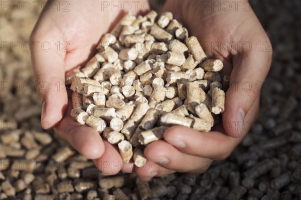 Alternative fuel: Pellets made from industrial wood waste. Short depth-of-field