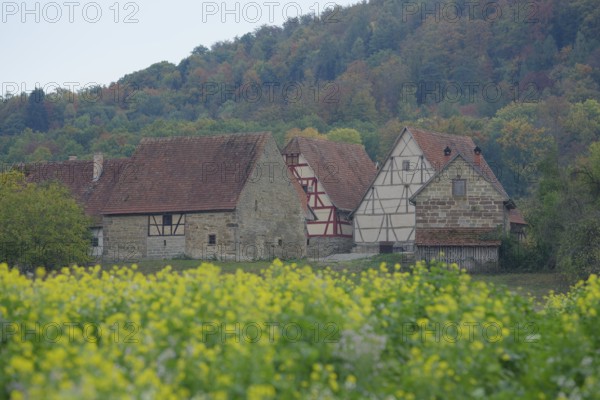 Half-timbered houses in the museum village, Hohenlohe Open-Air Museum, Wackershofen,