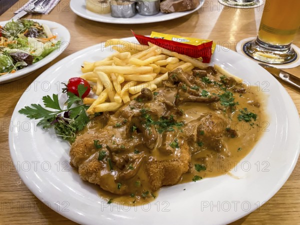 Creamed schnitzel with chanterelles, French fries, ketchup, mayonnaise, parsley, Hesse, Germany,