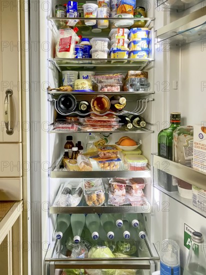Fridge, well stocked fridge with groceries, emergency stock, Hesse, Germany, Europe