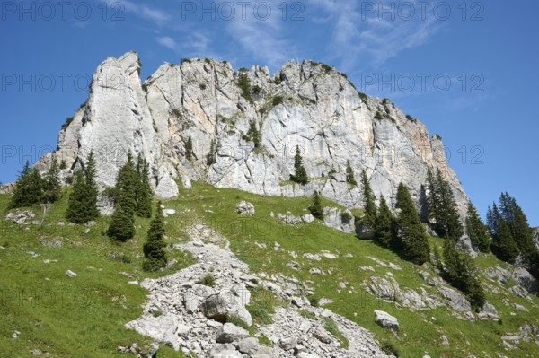 Blankenstein, Tegernsee Mountains, Mangfall Mountains, Upper Bavaria, Bavaria, Germany, Europe