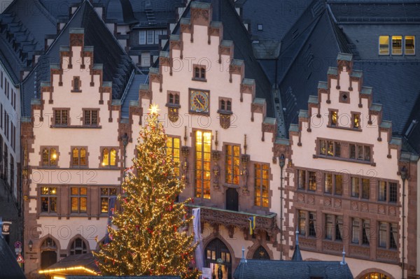 Christmas tree Sonny lights up on the Römerberg in Frankfurt am Main in front of the town hall,