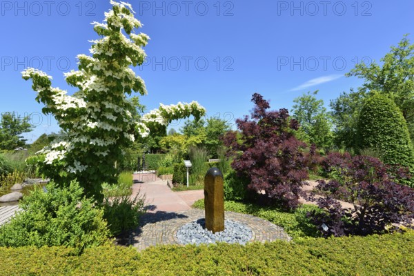 Theme garden with flower dogwoods and fountains in the Park of Gardens, Bad Zwischenahn, Ammerland,